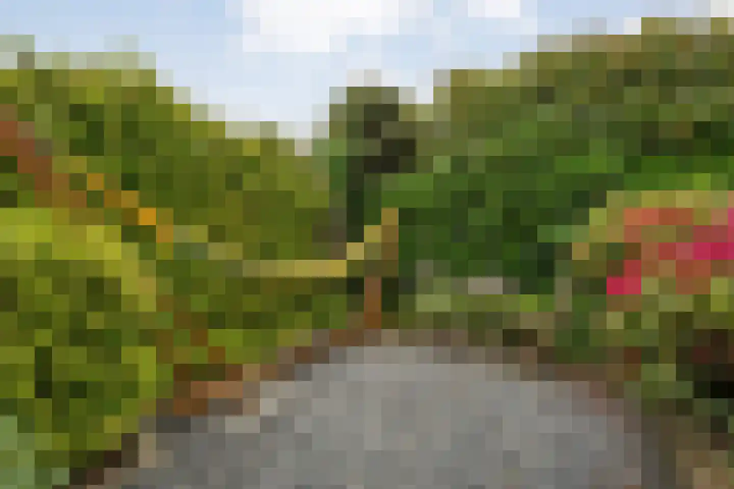 Wevermarke 30 Dalfsen thumbnail 40
