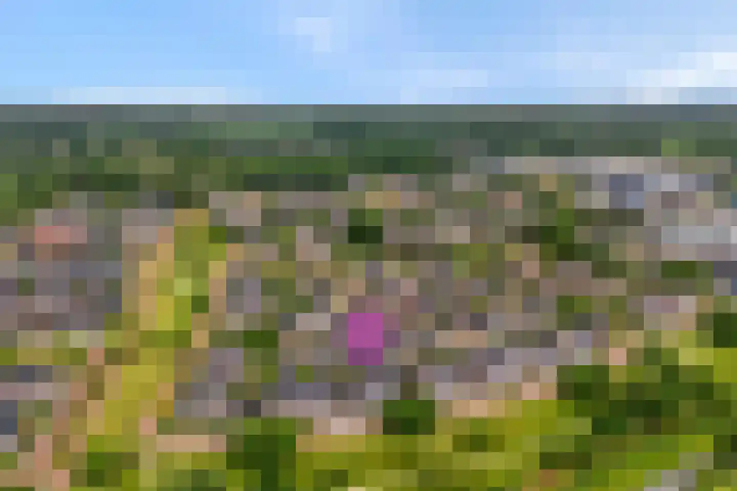 Wevermarke 30 Dalfsen thumbnail 41