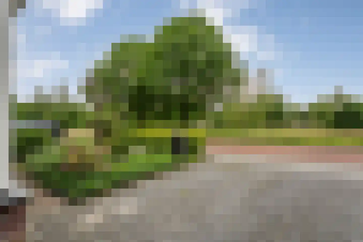 Wevermarke 30 Dalfsen thumbnail 46