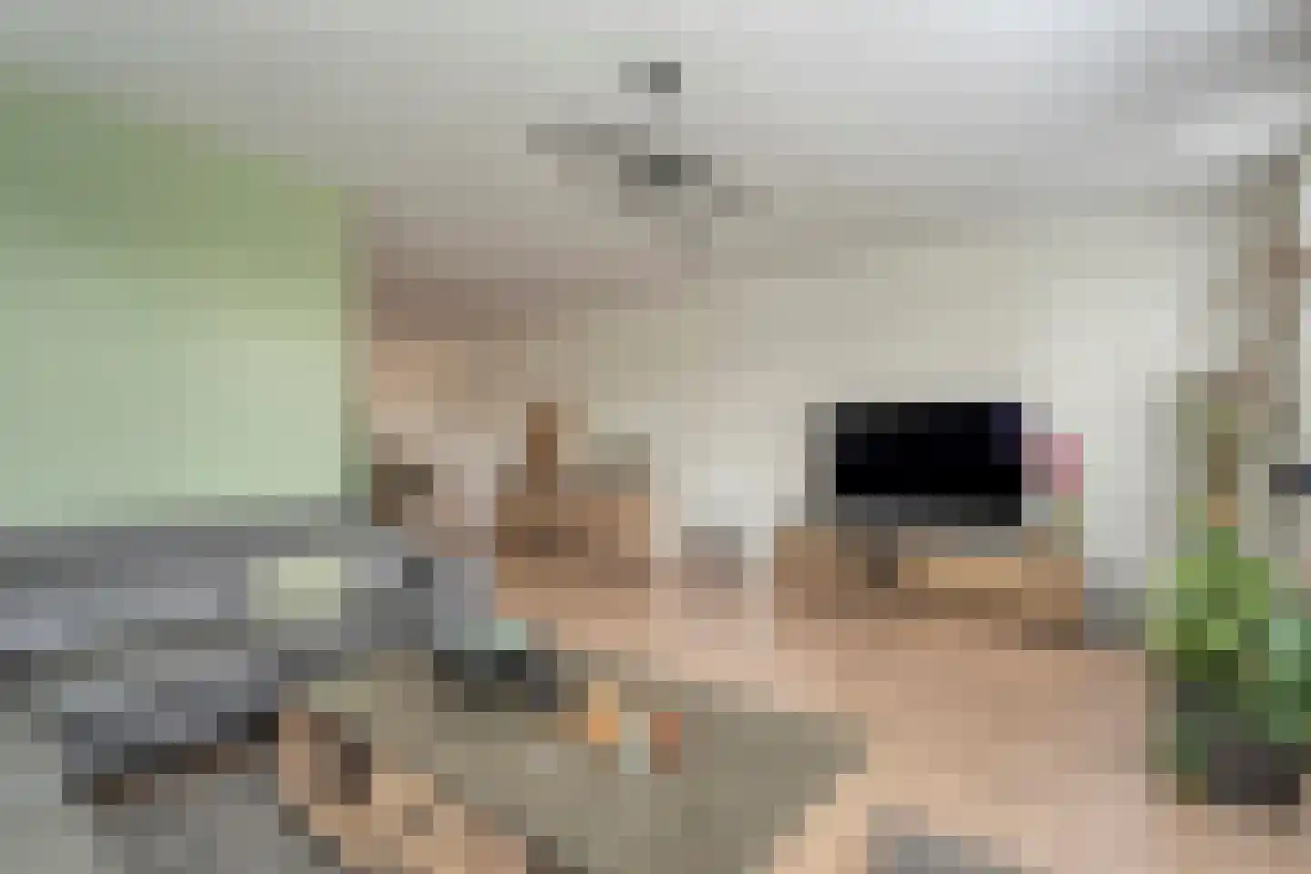 Wevermarke 30 Dalfsen thumbnail 6