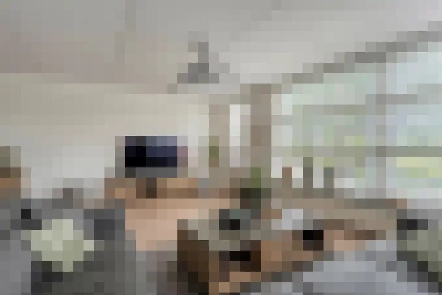 Wevermarke 30 Dalfsen thumbnail 7