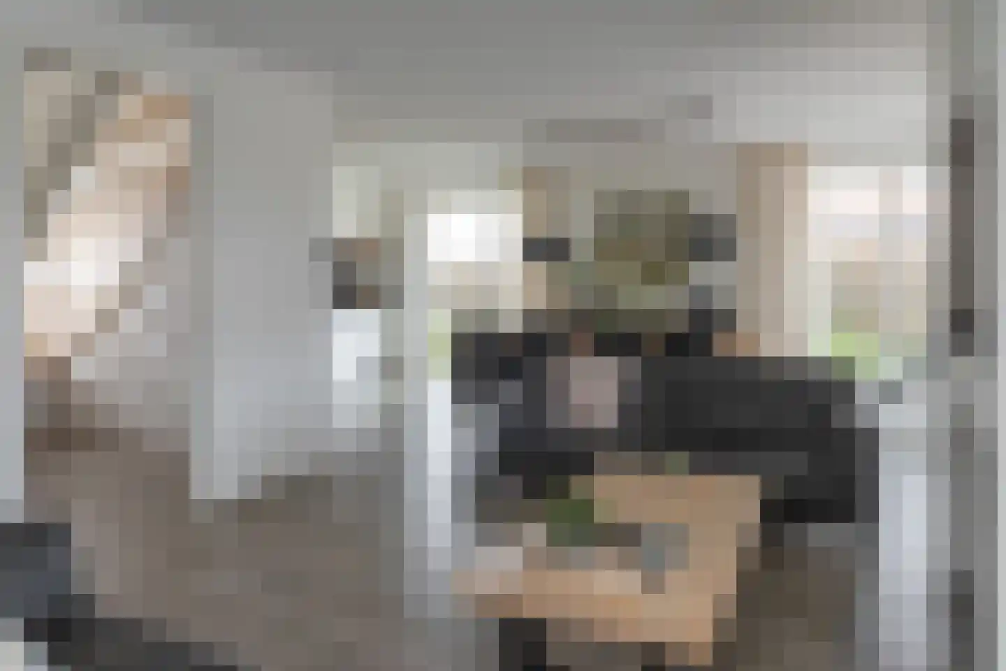 Weversblêd 22 Delfstrahuizen thumbnail 14