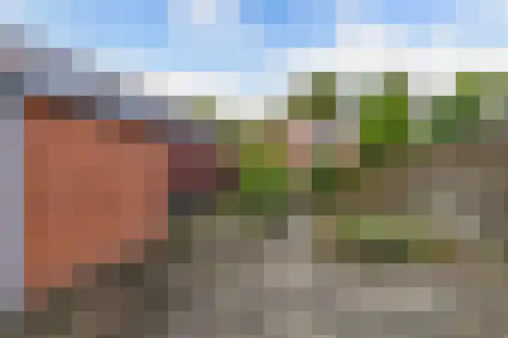 Weversburen 39 Drachten thumbnail 10
