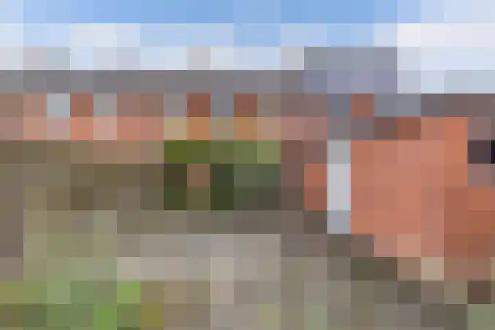 Weversburen 39 Drachten thumbnail 11