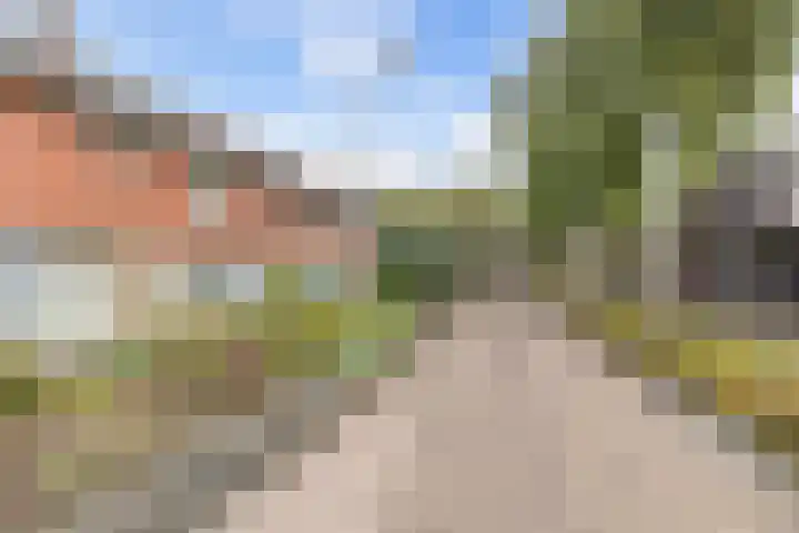 Weversburen 39 Drachten thumbnail 19