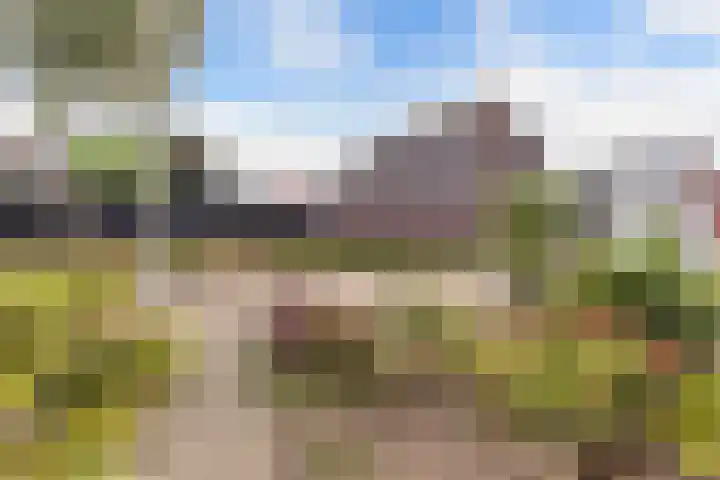 Weversburen 39 Drachten thumbnail 20