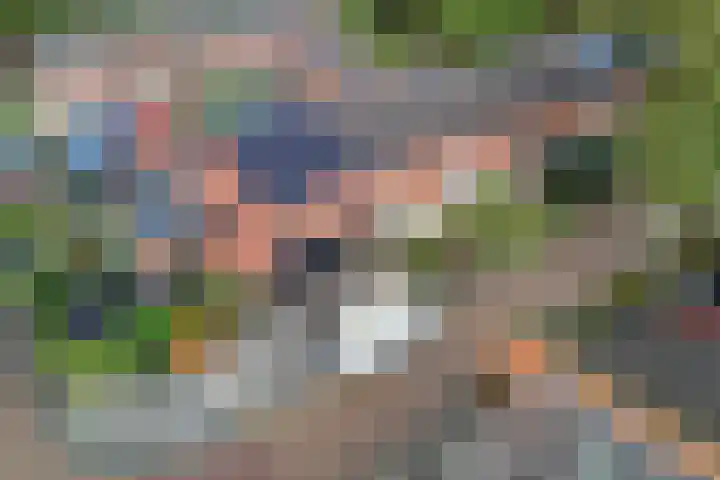 Weversburen 39 Drachten thumbnail 21
