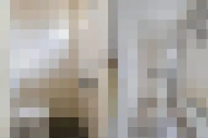 Weversburen 39 Drachten thumbnail 4