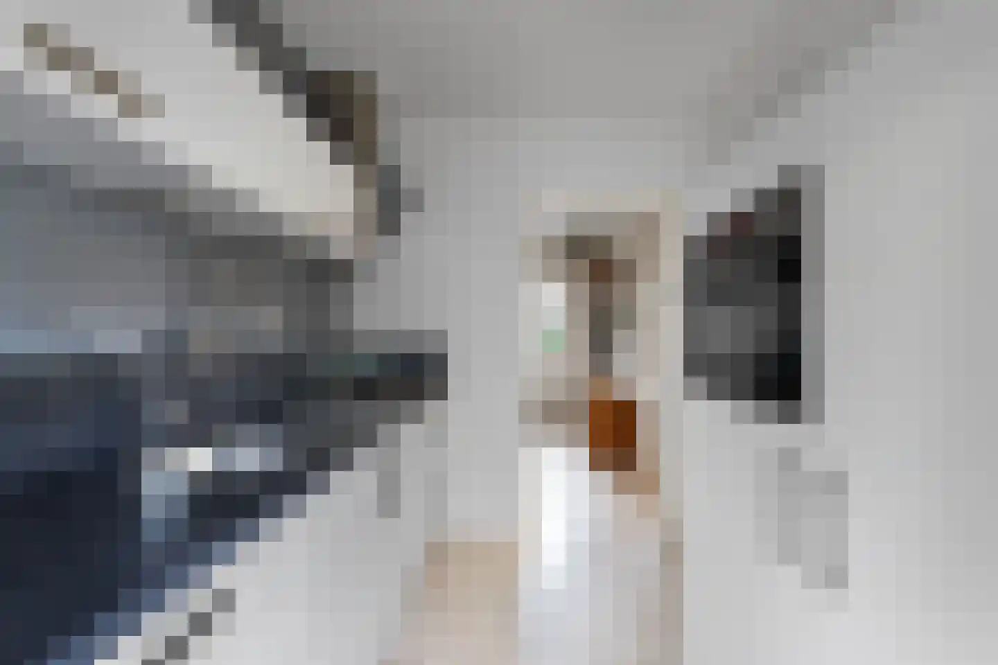 Weversburen 9 Drachten thumbnail 12