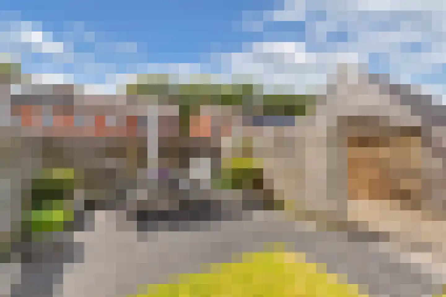 Weversburen 9 Drachten thumbnail 33