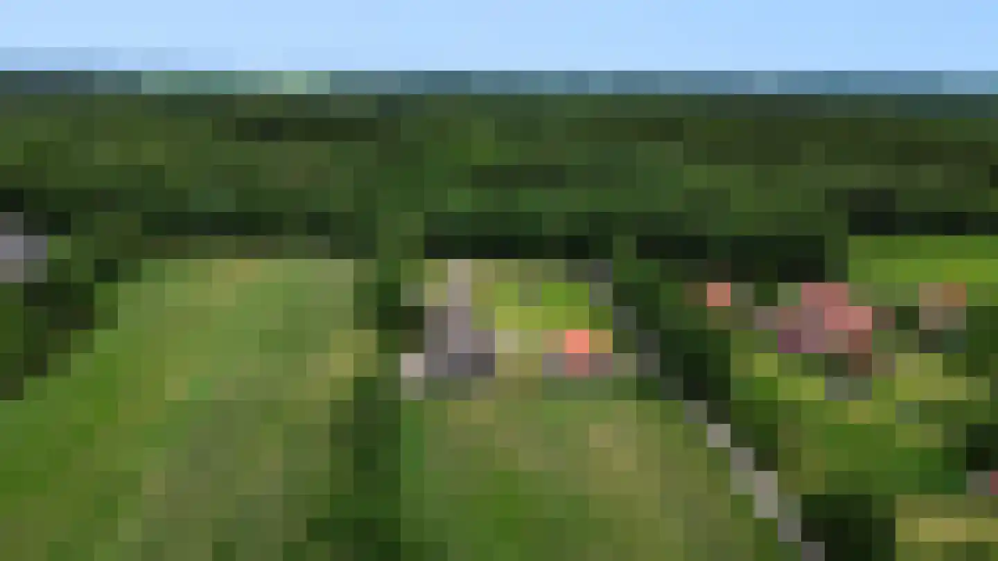 Weversbuurt 19 Mildam thumbnail 78