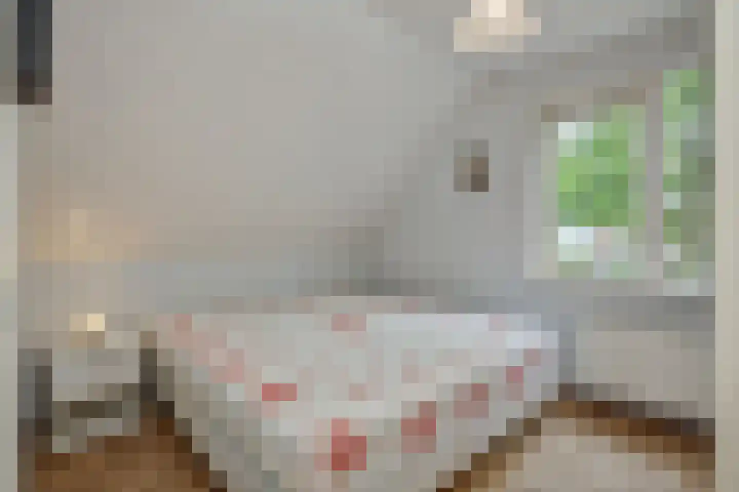 Weverseind 6 Oss thumbnail 20