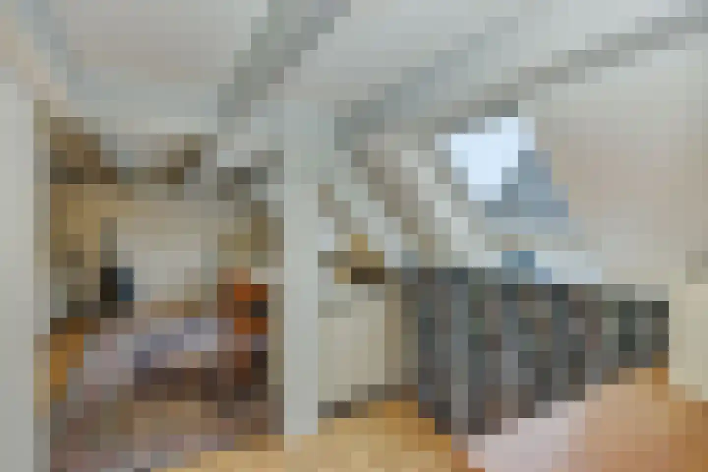 Weverseind 6 Oss thumbnail 29
