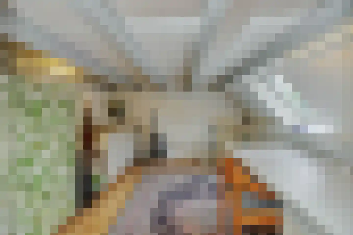 Weverseind 6 Oss thumbnail 30