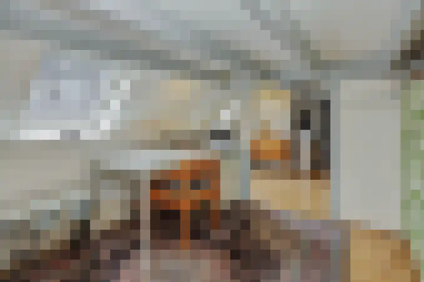 Weverseind 6 Oss thumbnail 31