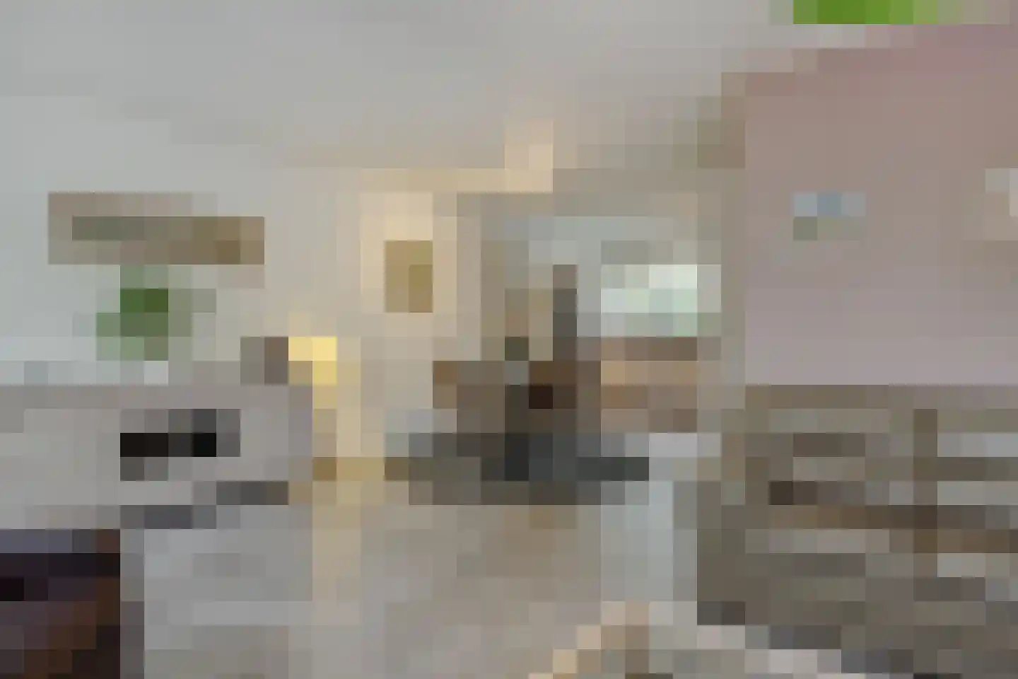 Weverseind 6 Oss thumbnail 4