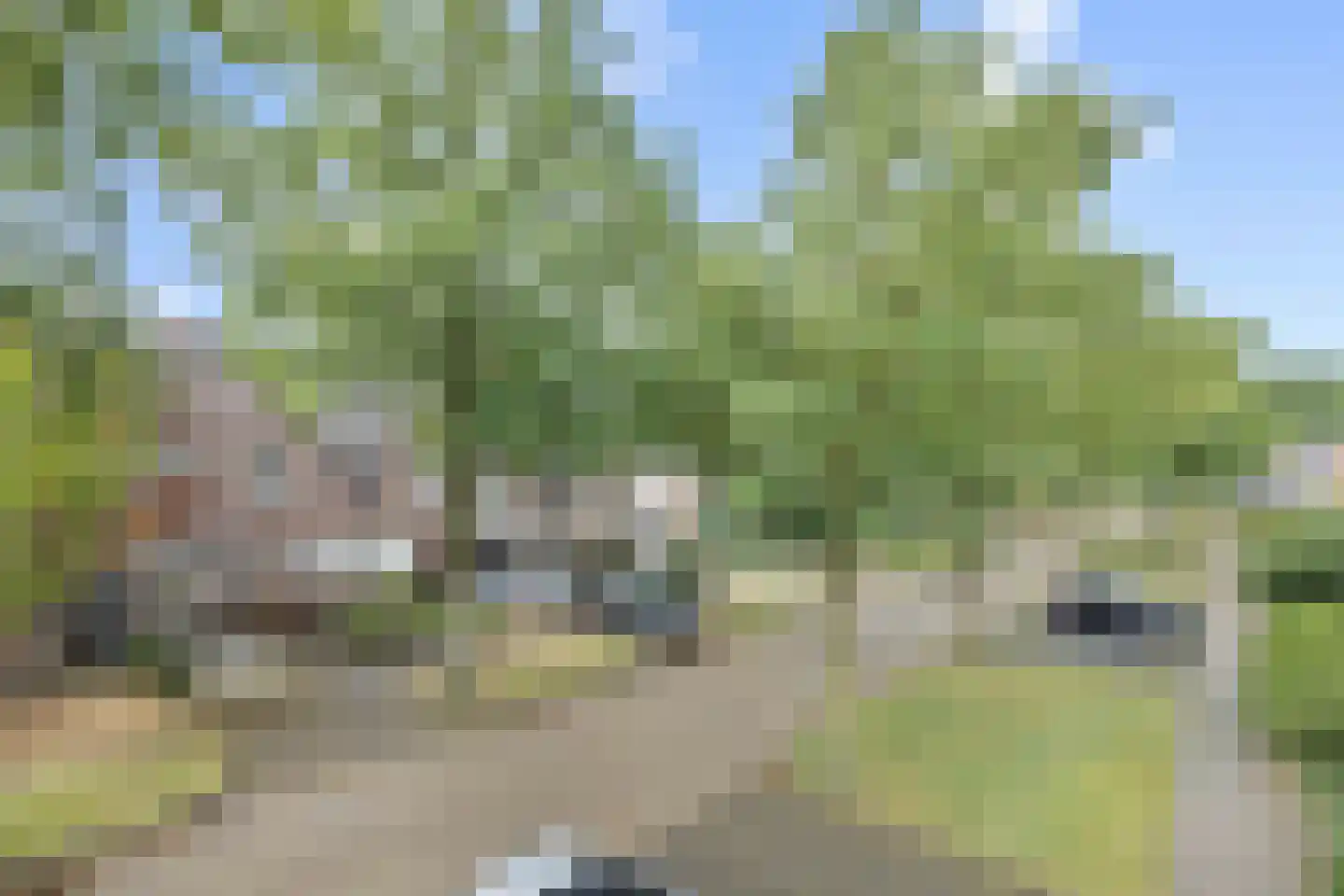 Weverseind 6 Oss thumbnail 45