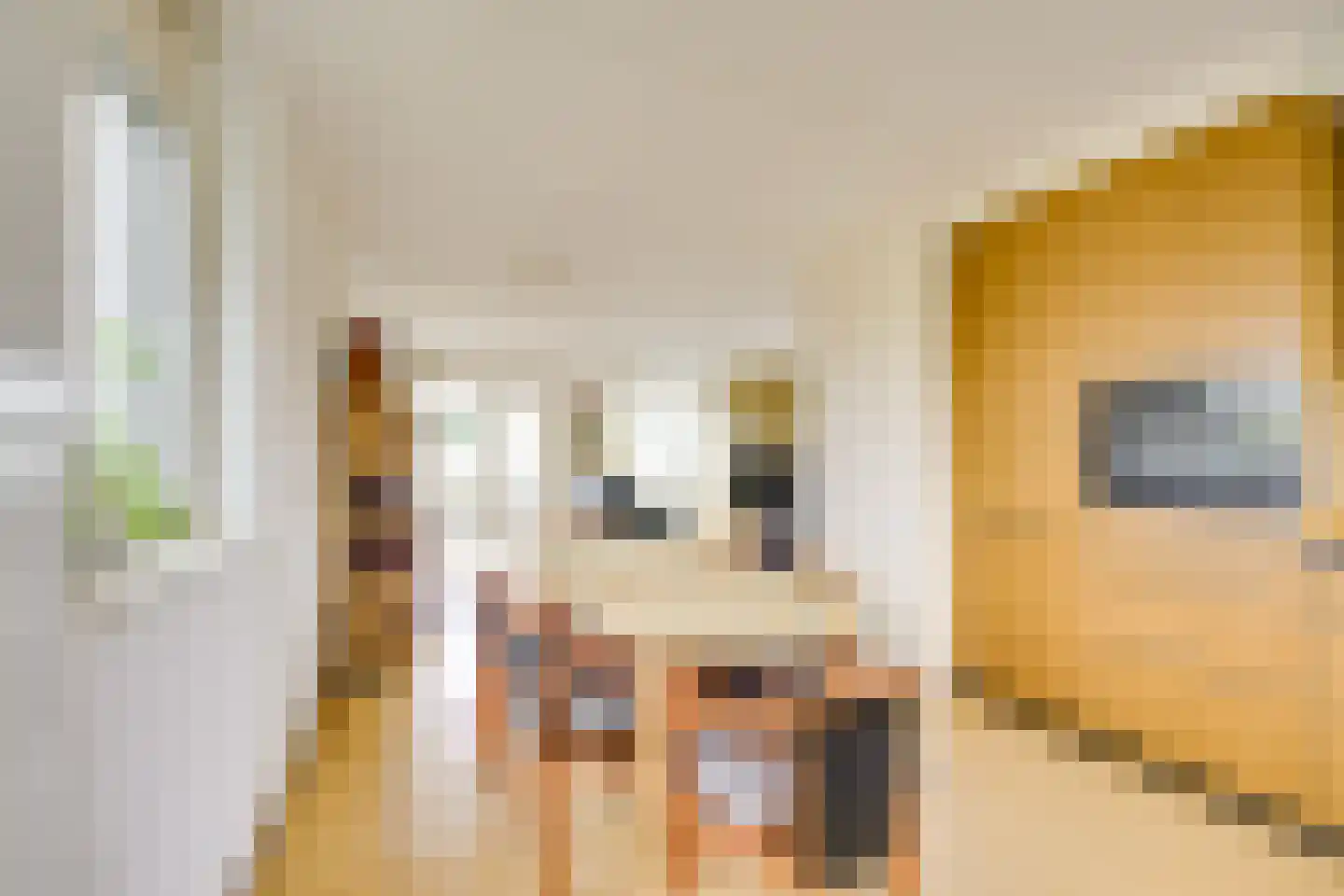 Weversgilde 19 Houten thumbnail 12