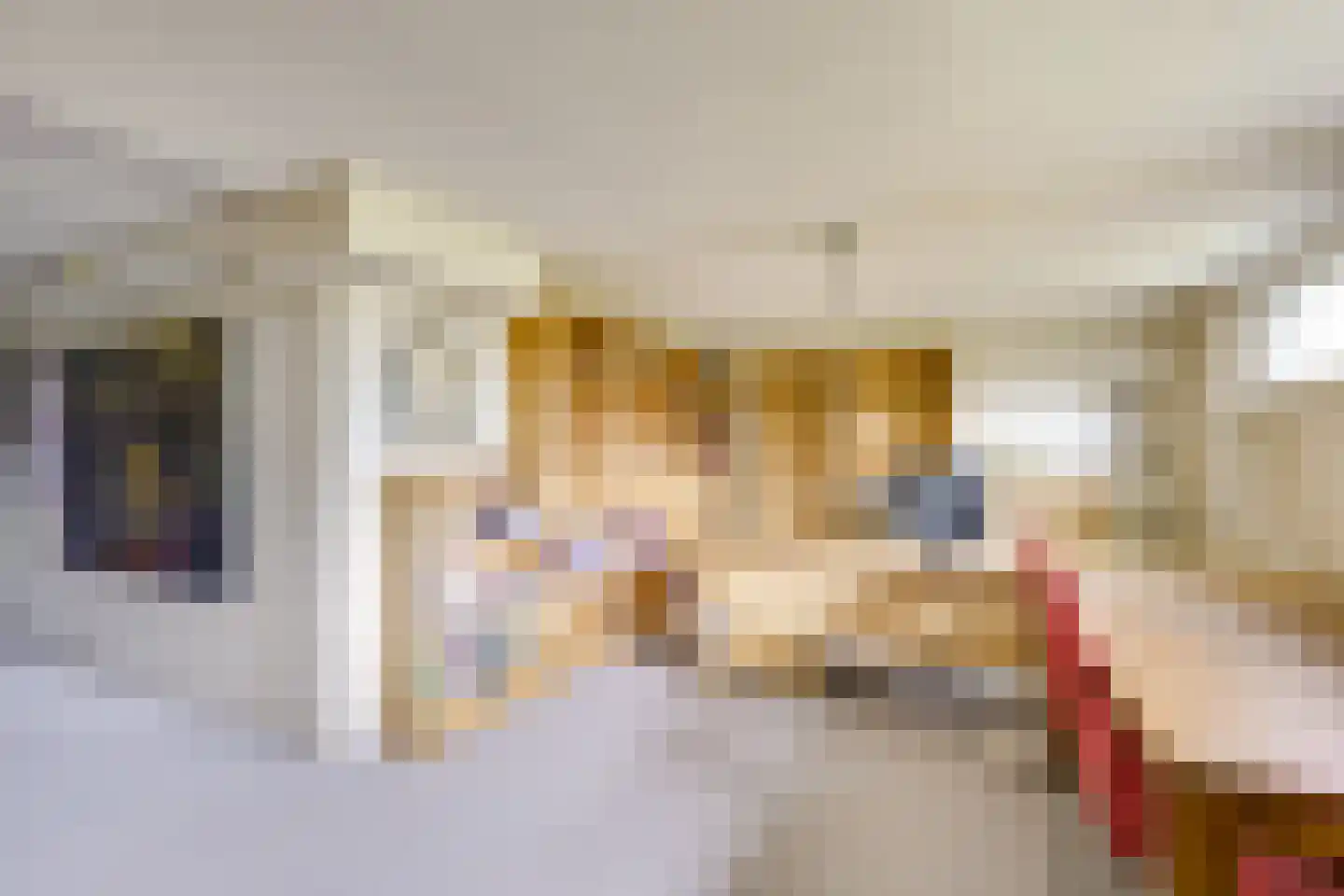 Weversgilde 19 Houten thumbnail 24