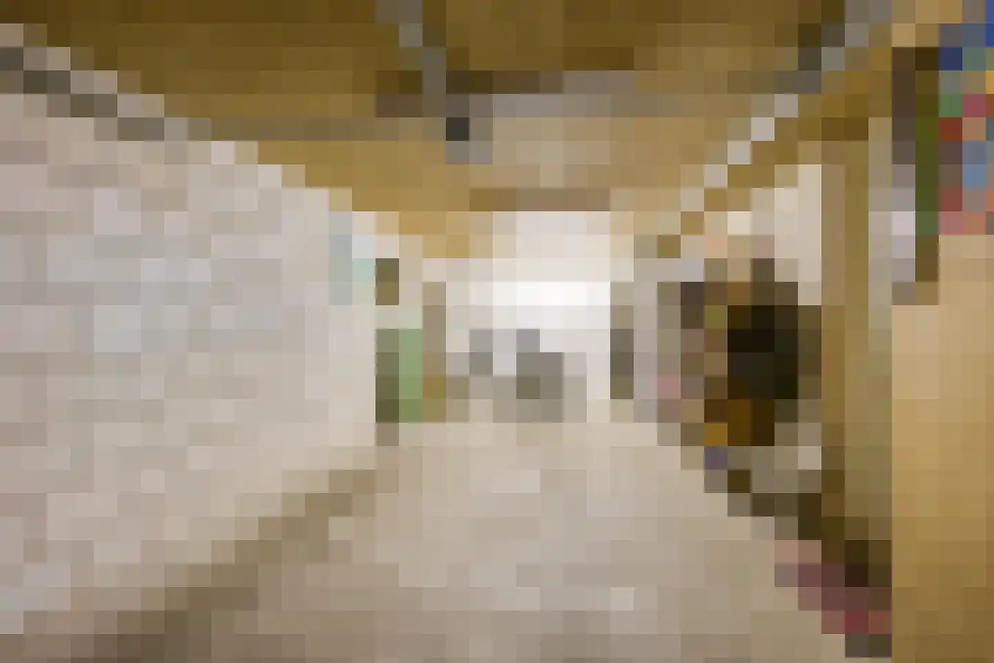 Weversgilde 19 Houten thumbnail 26