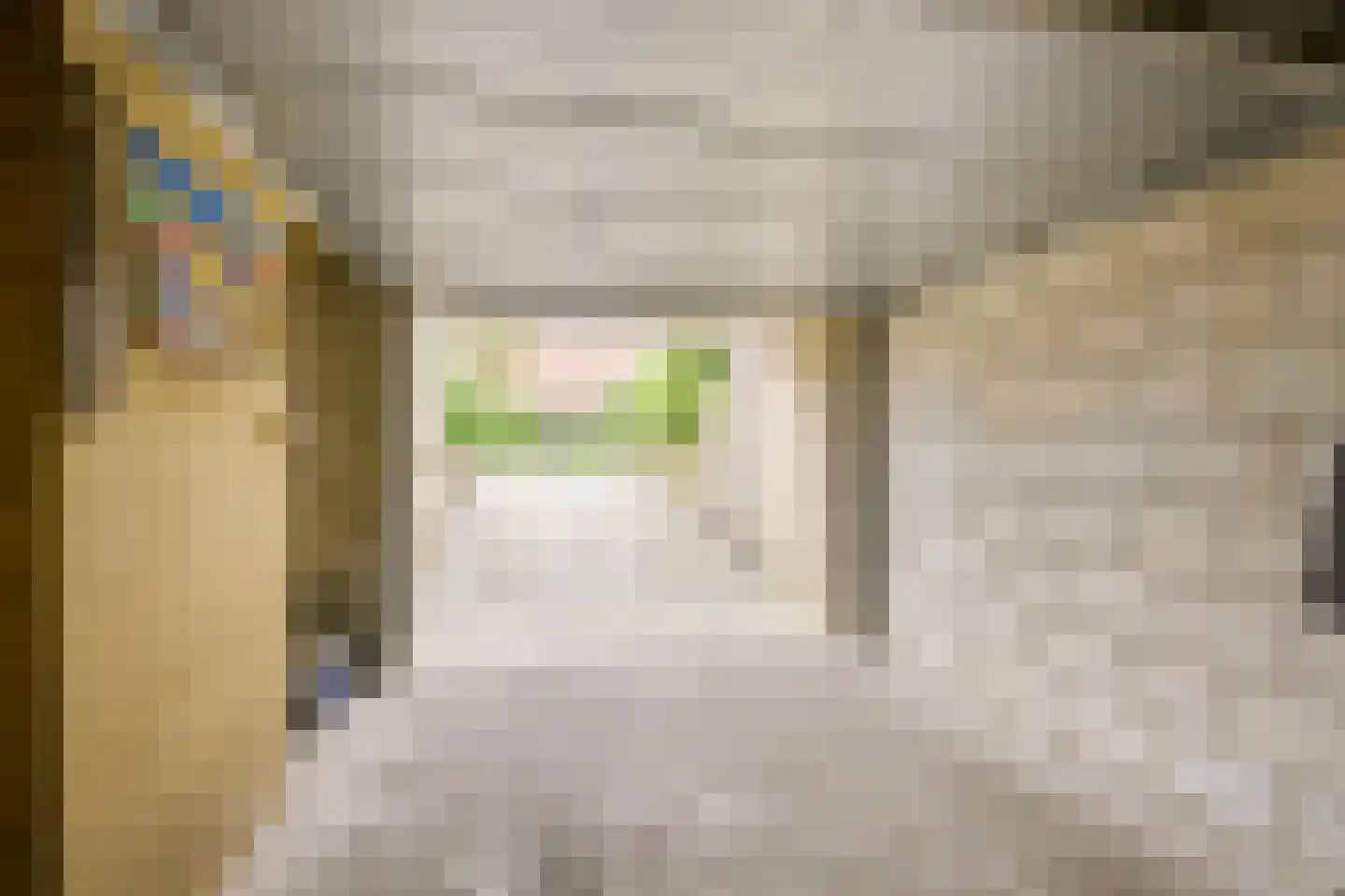 Weversgilde 19 Houten thumbnail 28
