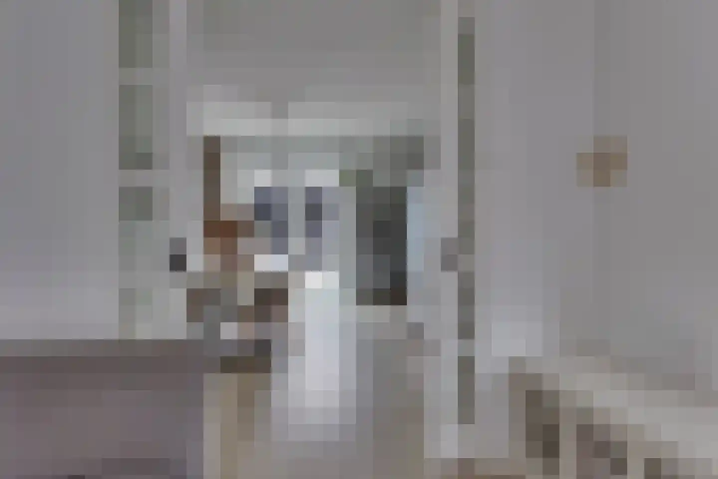 Weversgilde 38 Dronten thumbnail 11