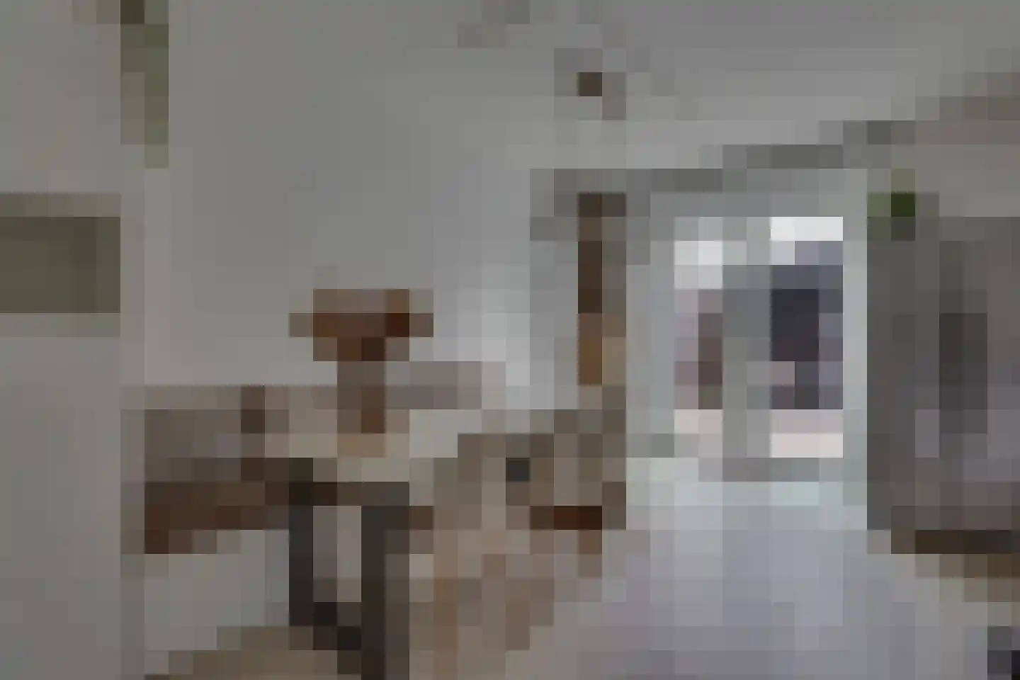 Weversgilde 38 Dronten thumbnail 13