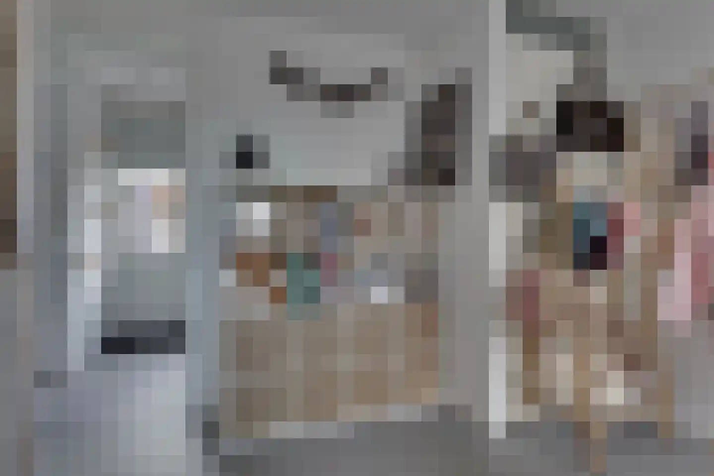 Weversgilde 38 Dronten thumbnail 19