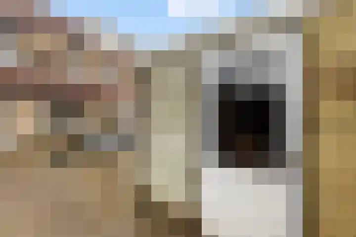 Weversgilde 38 Dronten thumbnail 29