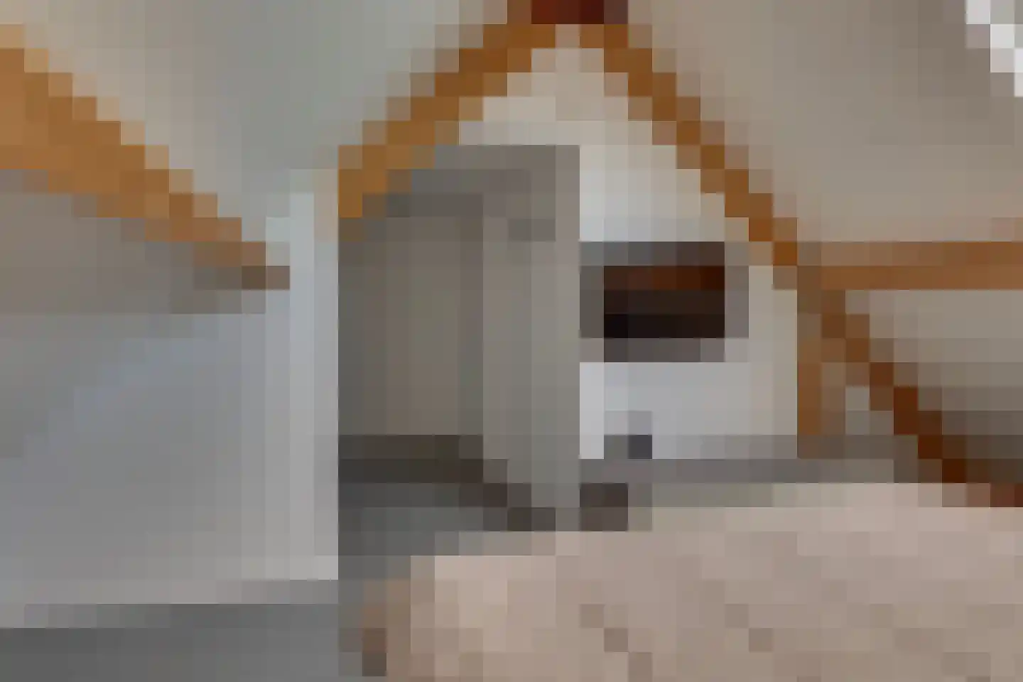 Weversgilde 38 Dronten thumbnail 35