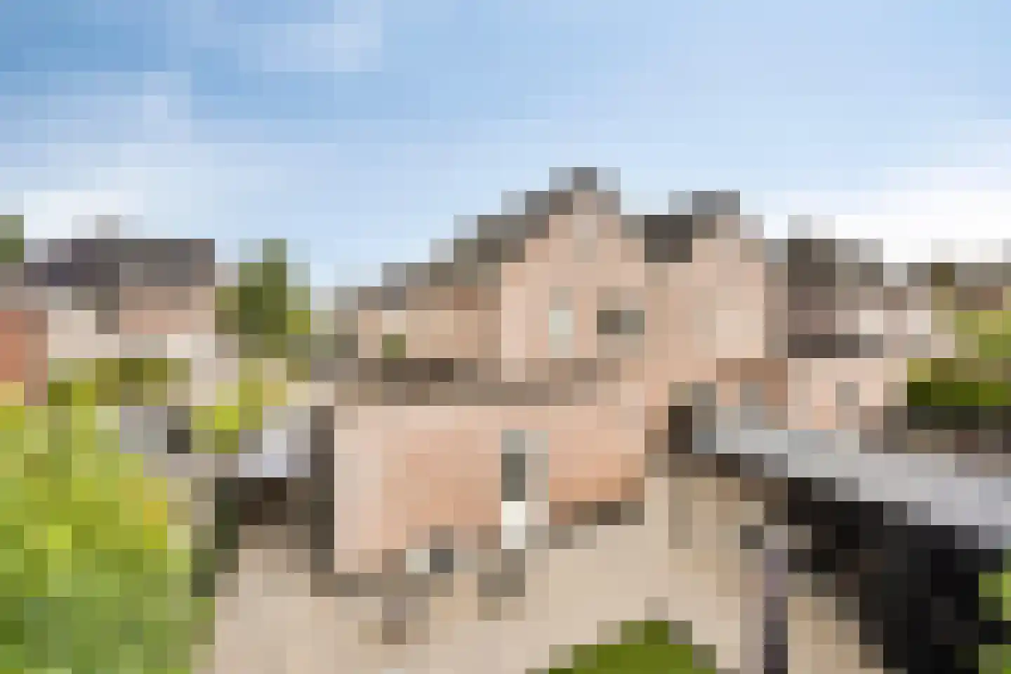 Weversgilde 38 Dronten thumbnail 50