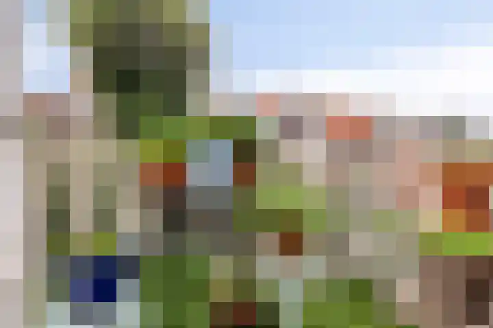 Weversgilde 38 Dronten thumbnail 56