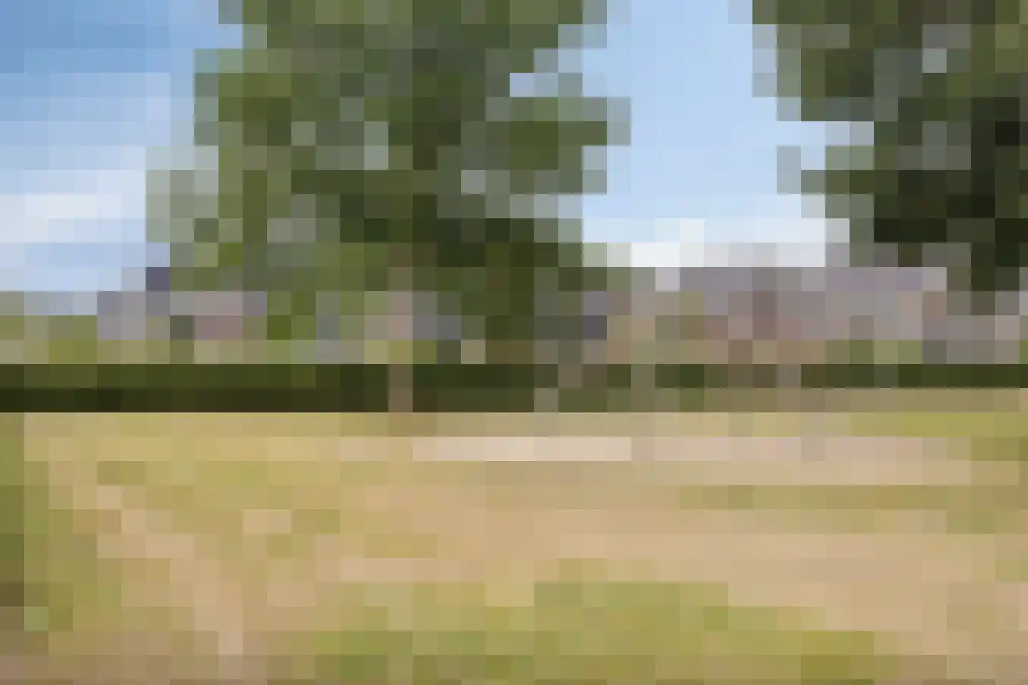Weversgilde 38 Dronten thumbnail 64