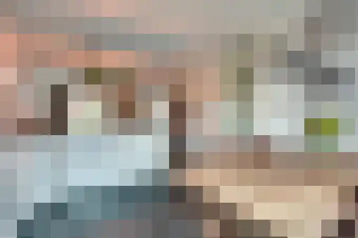 Weversgilde 7 Dronten thumbnail 12