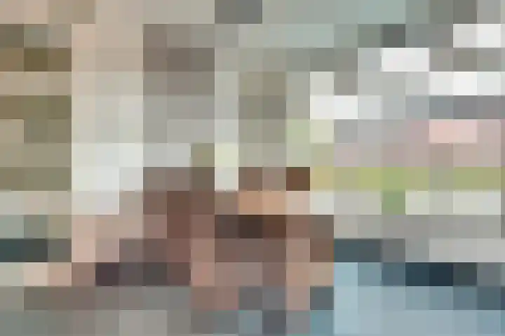 Weversgilde 7 Dronten thumbnail 13