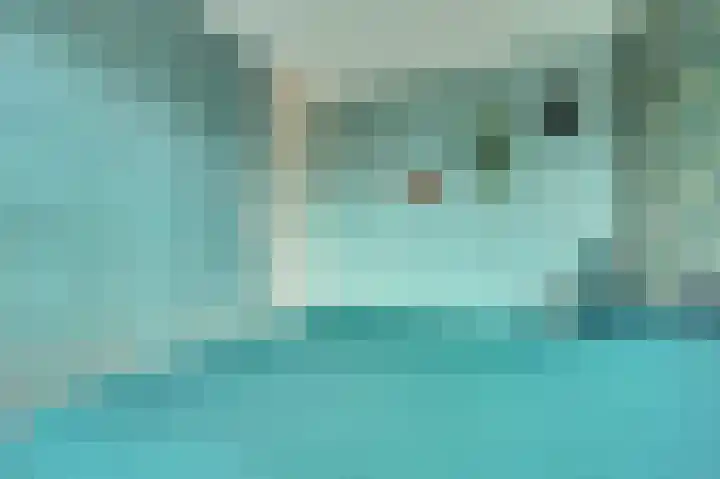 Weversgilde 7 Dronten thumbnail 22