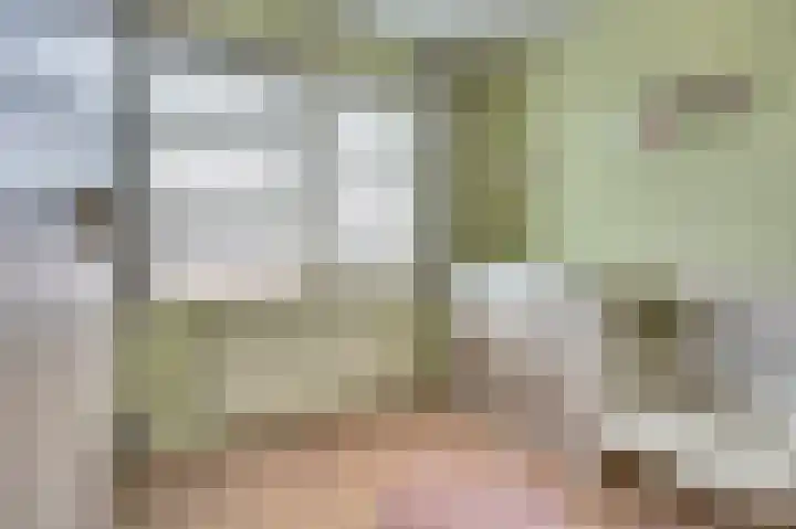 Weversgilde 7 Dronten thumbnail 24