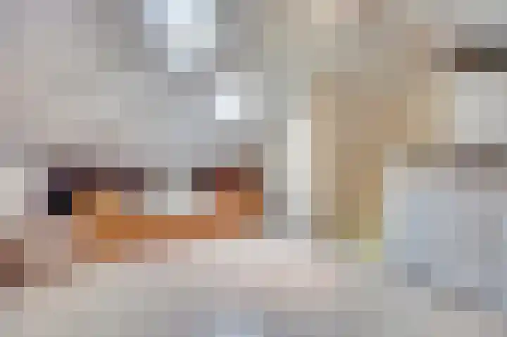 Weversgilde 7 Dronten thumbnail 29