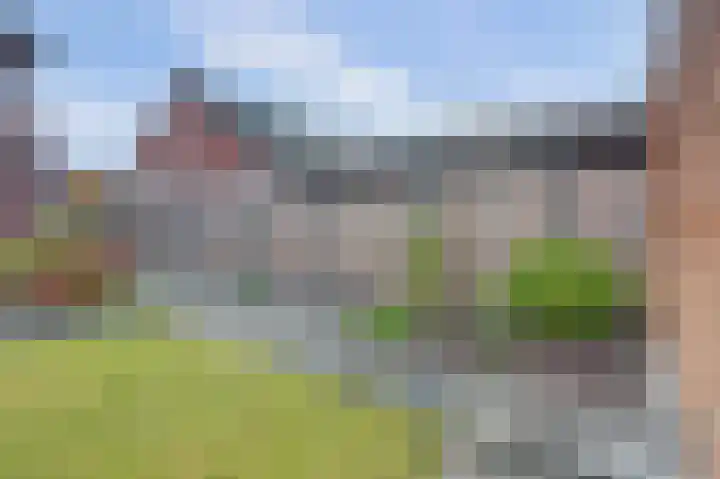 Weversgilde 7 Dronten thumbnail 31