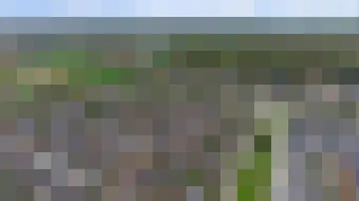 Weversgilde 7 Dronten thumbnail 41