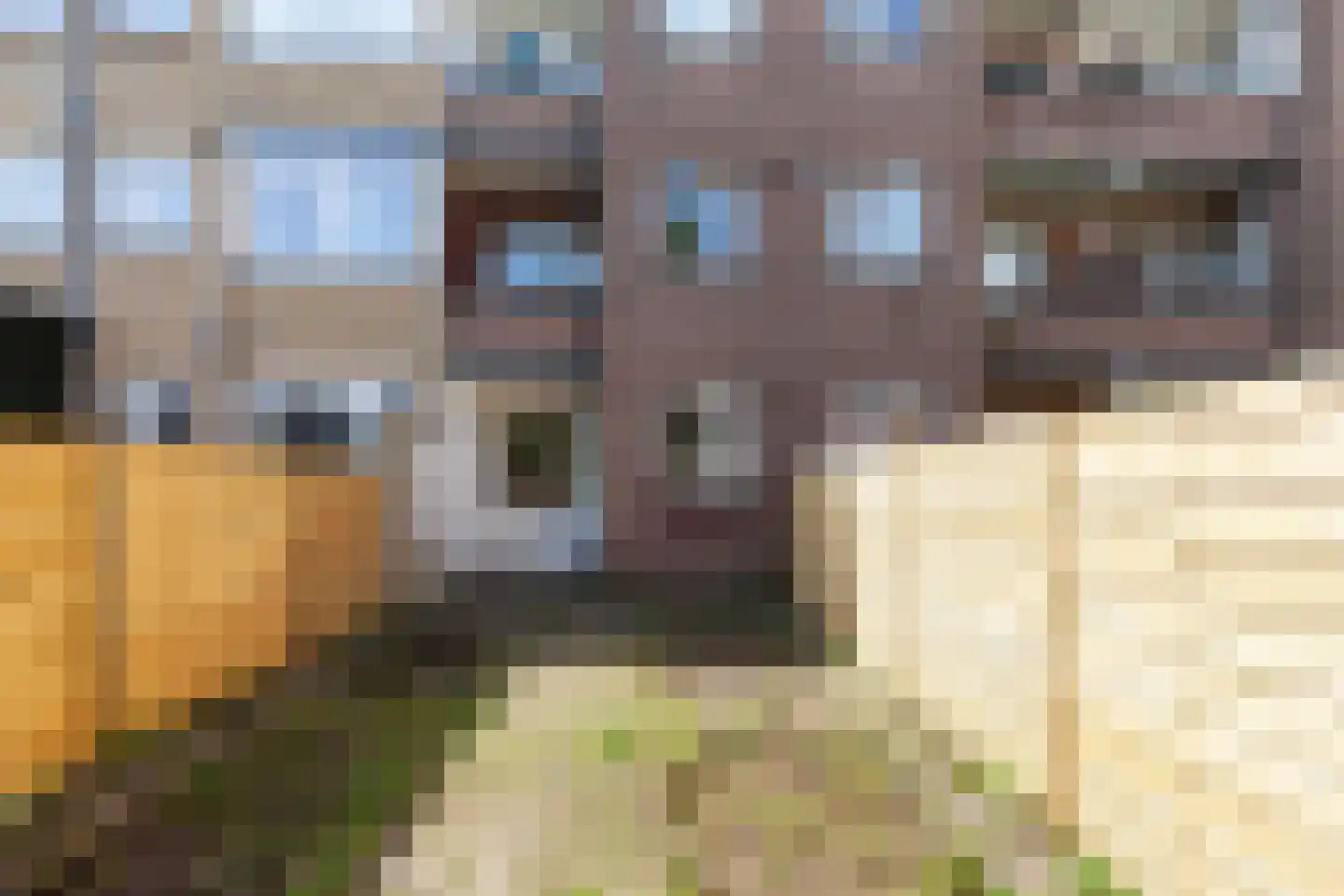 Wevershoekstraat 43 A Rotterdam thumbnail 21