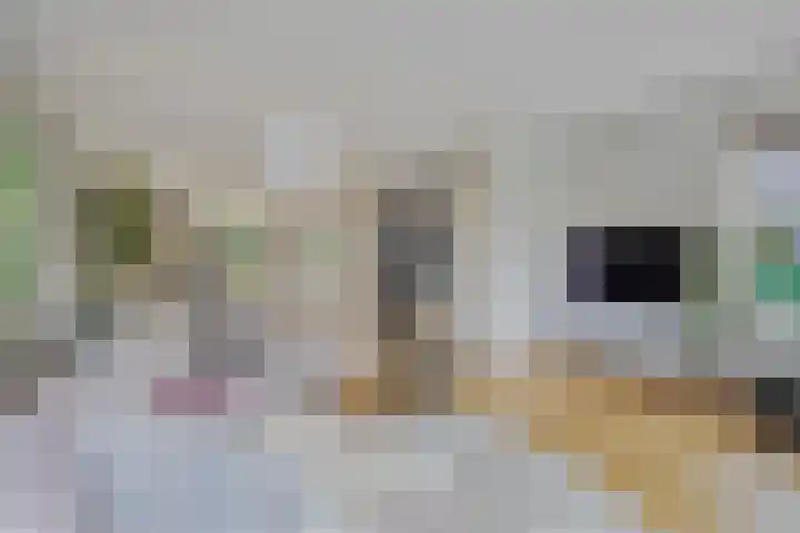 Wevershof 12 Etten-Leur thumbnail 10