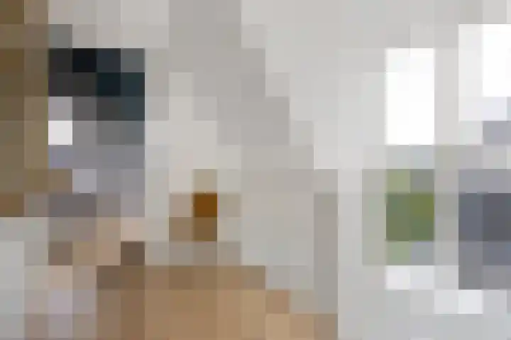Wevershof 12 Etten-Leur thumbnail 32