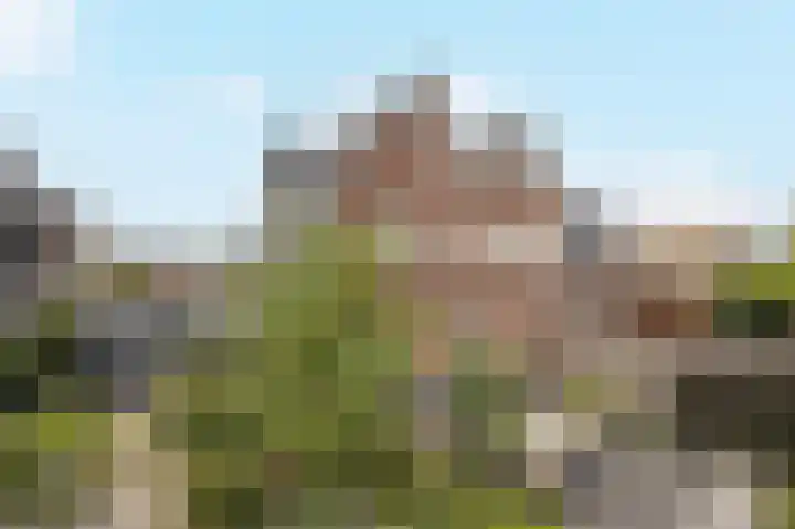 Wevershof 12 Etten-Leur thumbnail 43