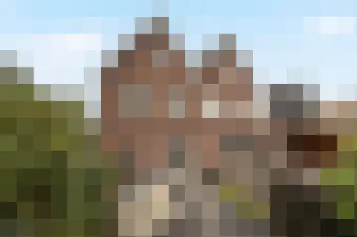 Wevershof 12 Etten-Leur thumbnail 44
