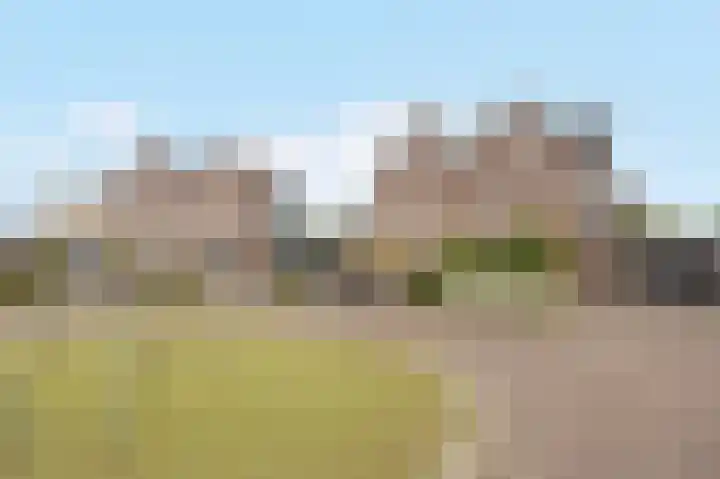 Wevershof 12 Etten-Leur thumbnail 46