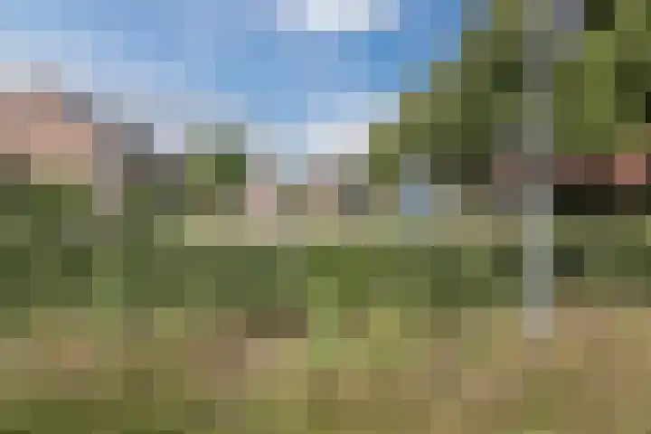 Wevershof 14 Gilze thumbnail 34