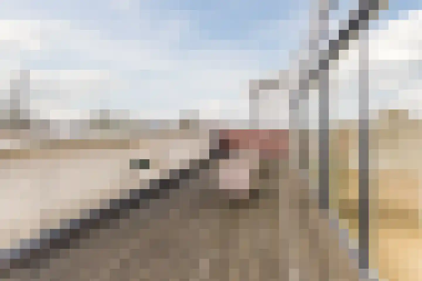 Wevershof 23 Gilze thumbnail 41