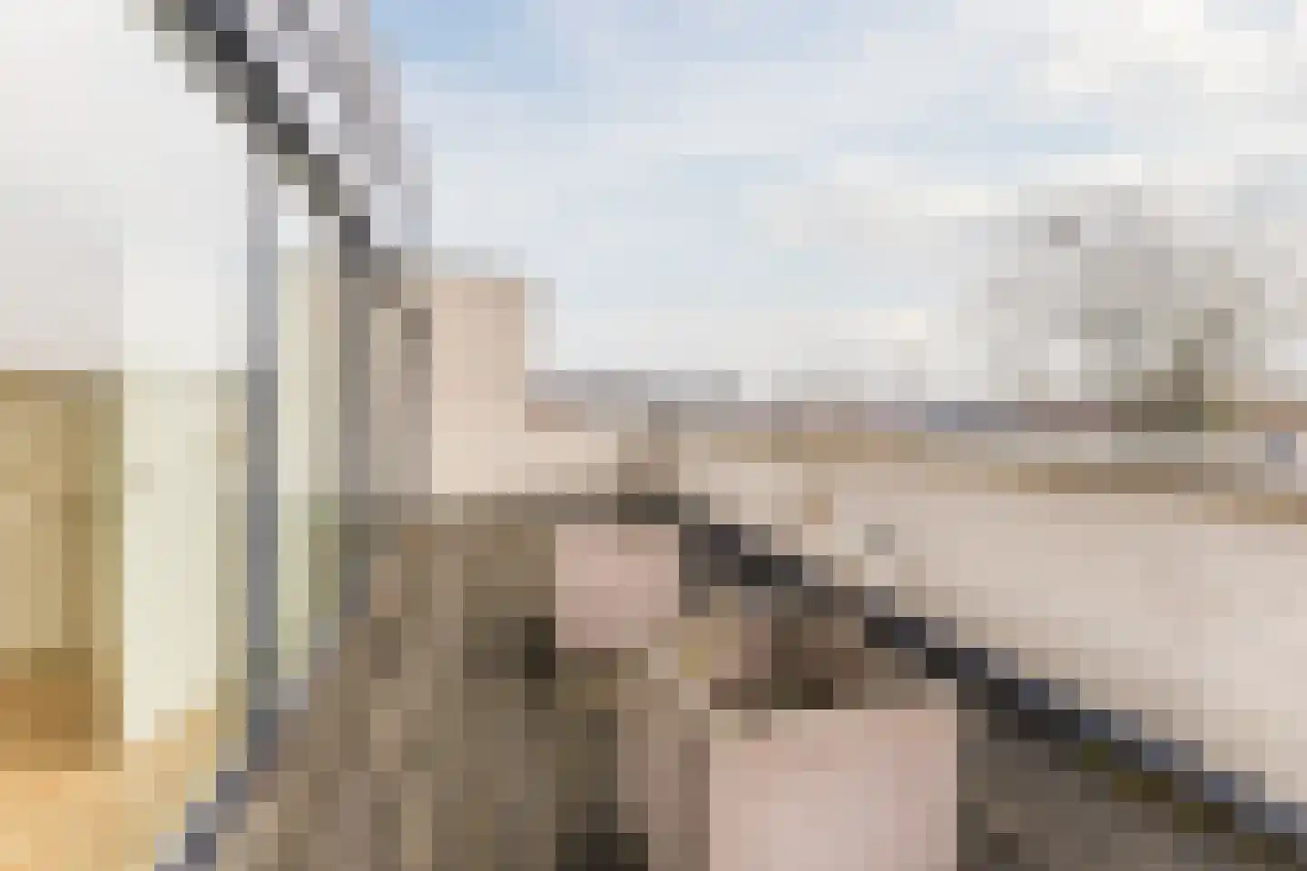 Wevershof 23 Gilze thumbnail 42