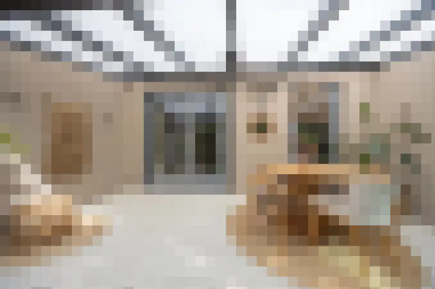 Wevershof 28 Prinsenbeek thumbnail 39